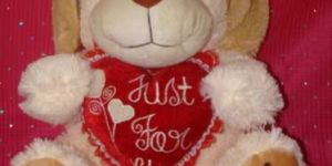 Stuffed Puppy With Heart