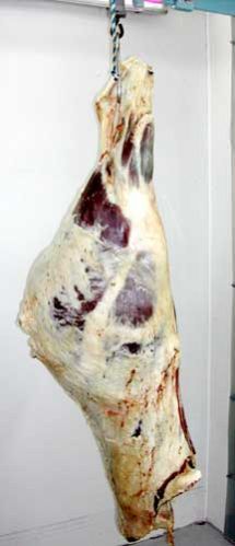Frozen Buffalo Hind Quarter