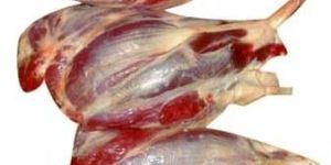 Frozen Buffalo Shin Shank