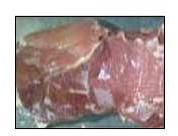 Frozen Buffalo Silver Side