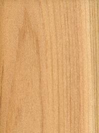 White Cedar Wood