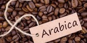 Arabica Coffee