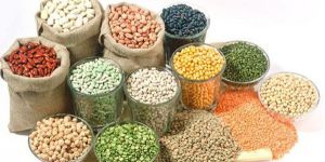 Foodstuff