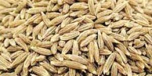 Cumin Seeds