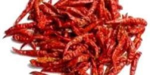 Dried Red Chilli