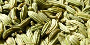 Fennel Seeds