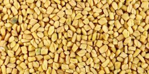 Fenugreek Seeds
