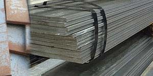 Stainless Steel Flats