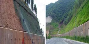 Hydroseeding Services