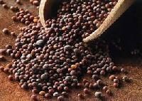 Brown Mustard Seeds