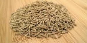 Cumin Seeds