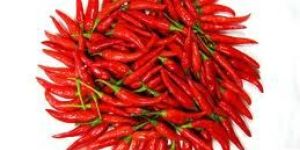 Red Chillies