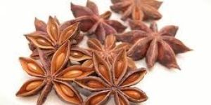 Star Aniseeds