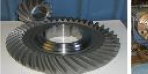 Trunkey Projects Services