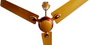 Ceiling Fans