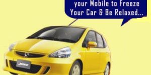 Wireless 3G Detective System