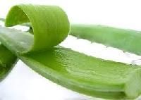 Aloevera Herbal Gel