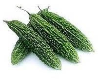 Vegetable Seeds of Bitter Gourd Green Fruits