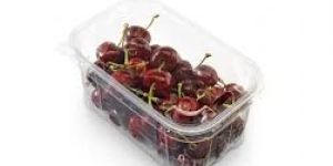PACKING PUNNET BOX