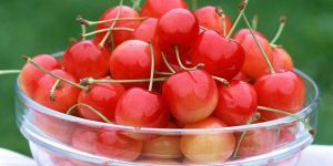 Fresh Cherry