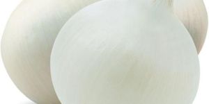 White Onion