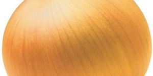 Yellow Onion