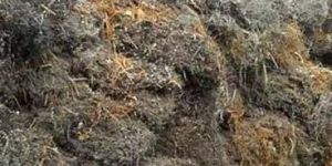 MS Turning Boring Scrap