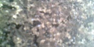 Steel Grey Granite Stone