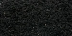 Black Cumin