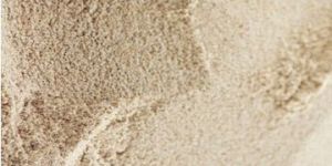 Psyllium Husk Powder