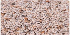 Psyllium Seeds