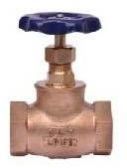 Gun Metal Globe Valve