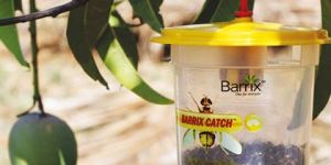 Barrix Catch Fruit Fly Trap