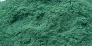 Spirulina Powder