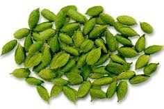 Green Cardamom