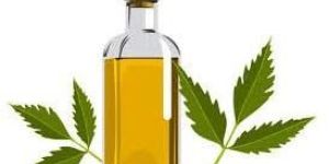 Neem Oil