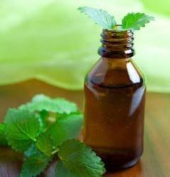 Spearmint Oil