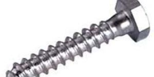 Stainless Steel Coach Screws