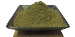 Tulsi Powder