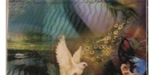 Digital Print Fabrics