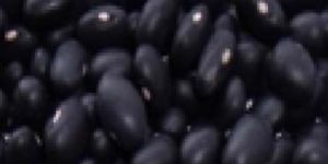 Black Kidney Bean