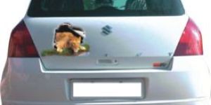 Car Graphic Stickers