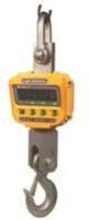Crane Weighing Scale