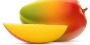Fresh Mangoes