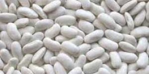 White Beans
