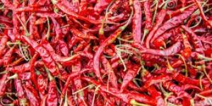 Indian Chilli, Dry Turmeric, Dry Ginger