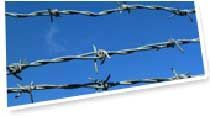 Barbed Wire