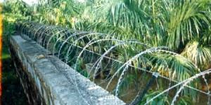 Punched Tape, Concertina Wire