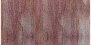 Specle Brown Sandstone