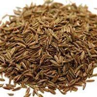 Cumin Seeds
